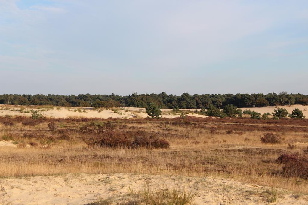 Natuurpoort Van Loon Loon op Zand Exterior photo